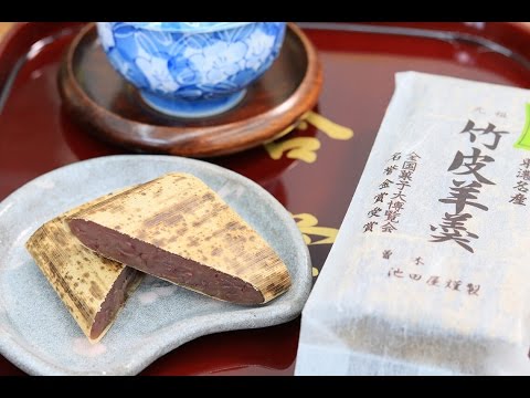 公式】もとてらす東美濃 東美濃6市1町の魅力を発信 [観光案内所・お